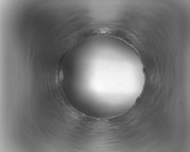X0000070851442200606302008