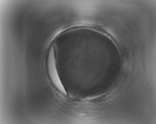 X0000070851455200606302007
