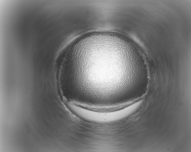 X0000070851456200606302007