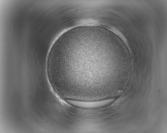 X0000070851488200606302007