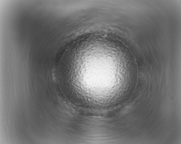 X0000070851490200606302006