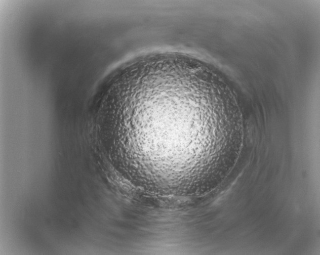 X0000070851494200606302006