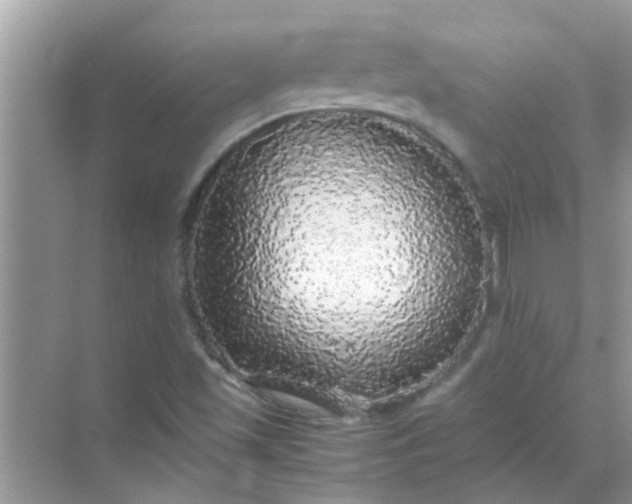 X0000070851501200606302006