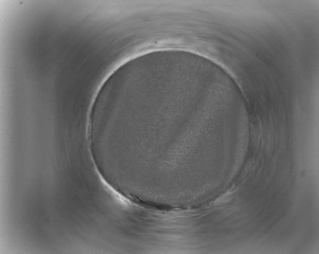 X0000070851527200606302007