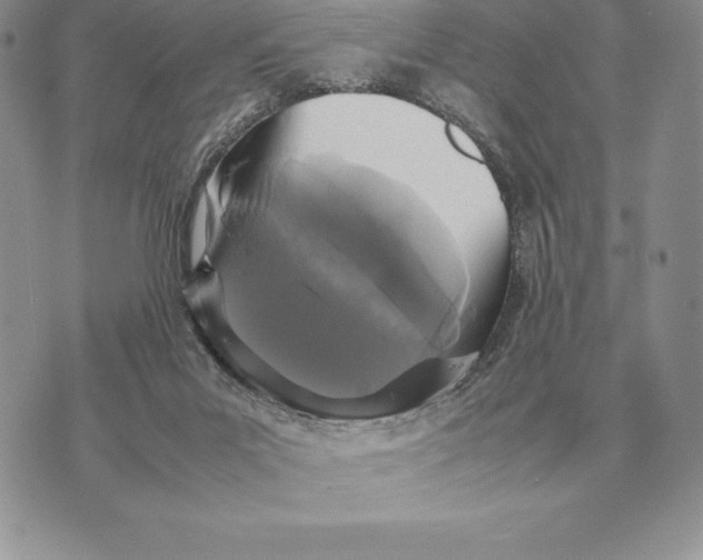 X0000070850023200607071843