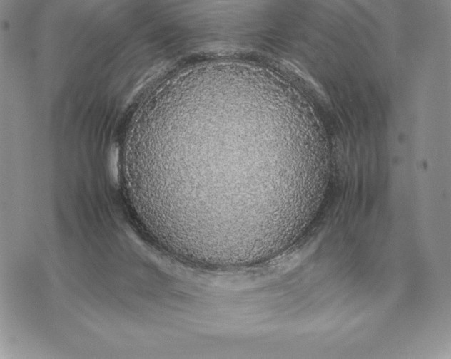 X0000070850024200607071843