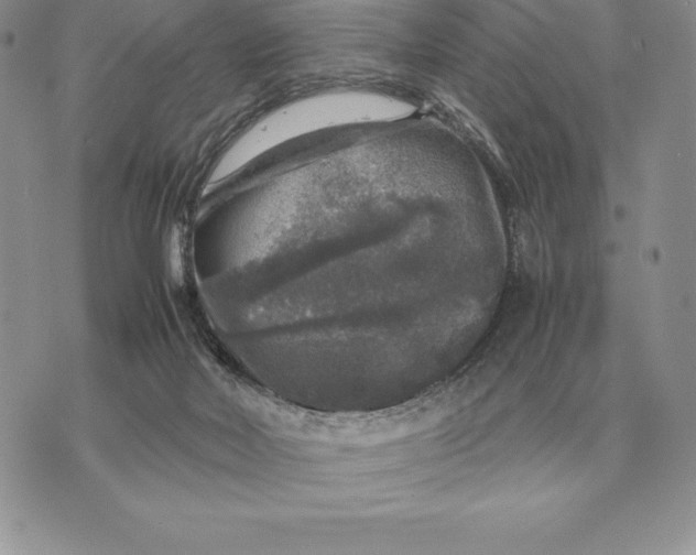 X0000070850026200607071843