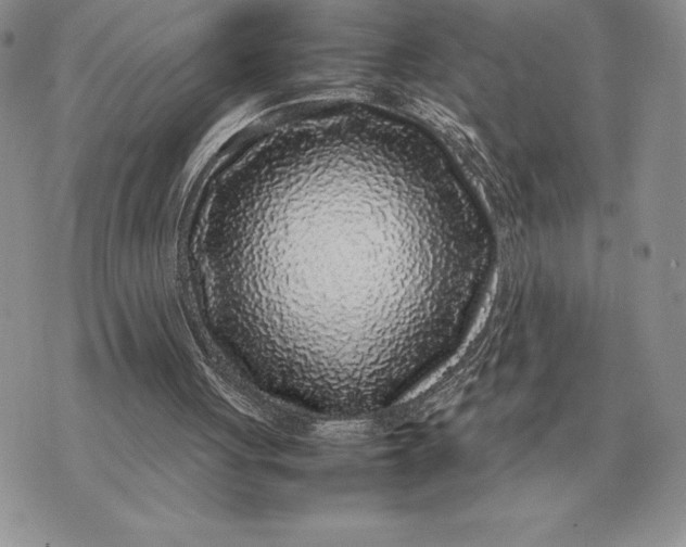 X0000070850051200607071842