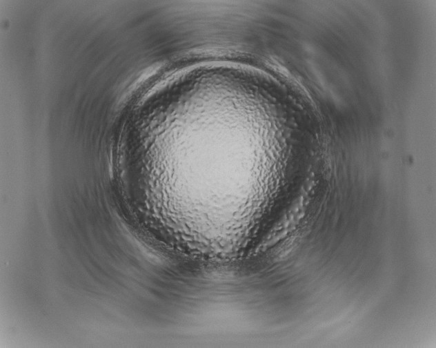X0000070850062200607071842