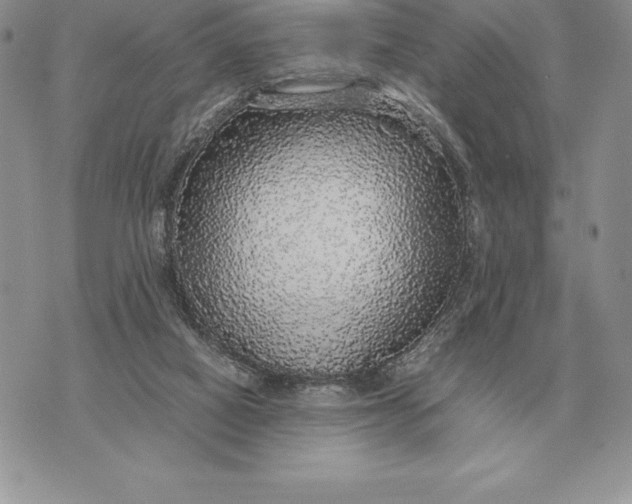 X0000070850066200607071842