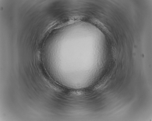 X0000070850071200607071842