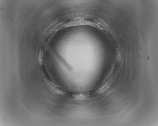 X0000070850074200607071842