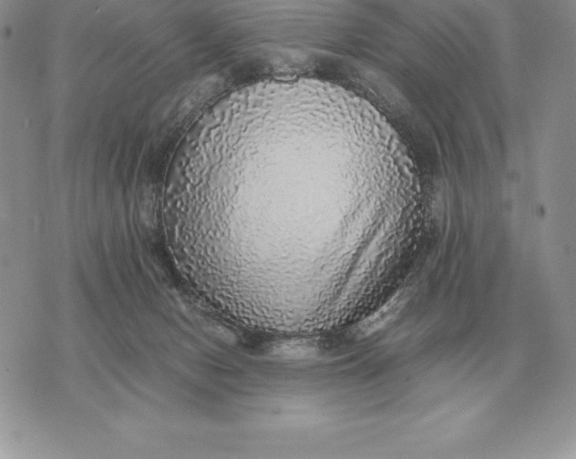 X0000070850078200607071842