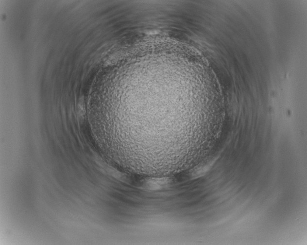 X0000070850085200607071843