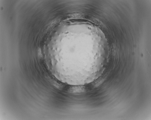 X0000070850089200607071843