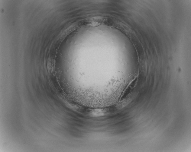 X0000070850091200607071843