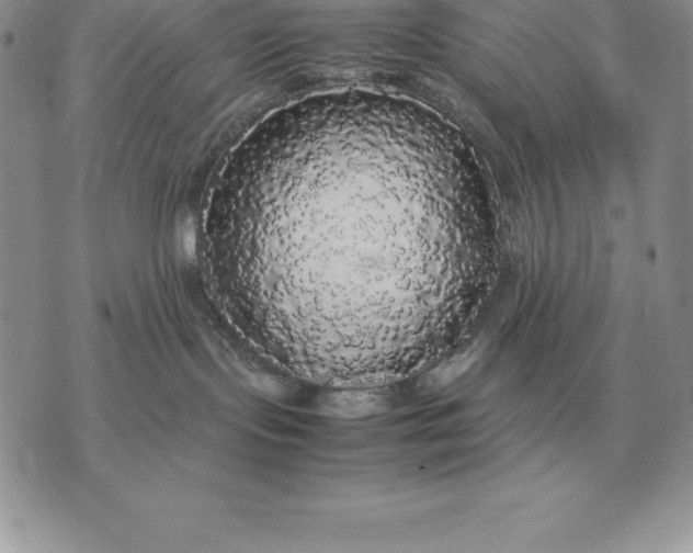 X0000070850095200607071843