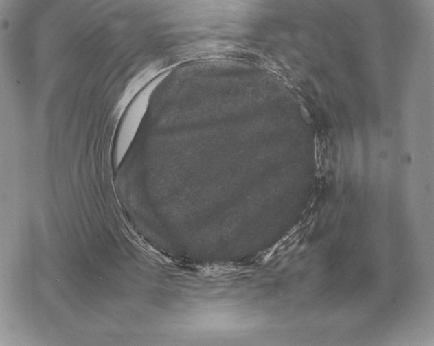 X0000070850099200607071842