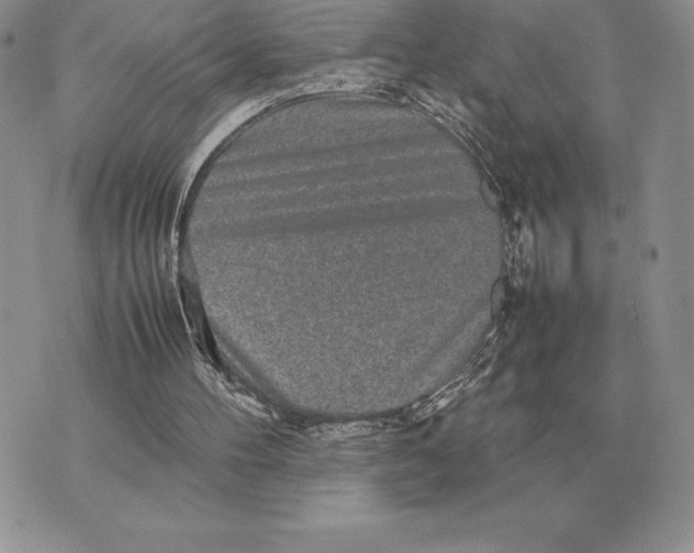 X0000070850100200607071842
