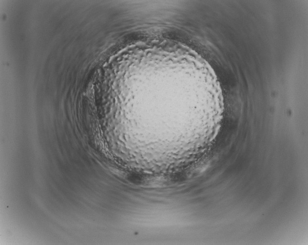X0000070850131200607071841