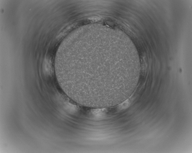 X0000070850136200607071841