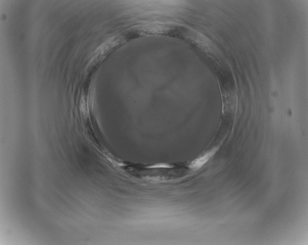 X0000070850143200607071841
