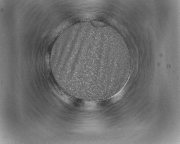 X0000070850144200607071841