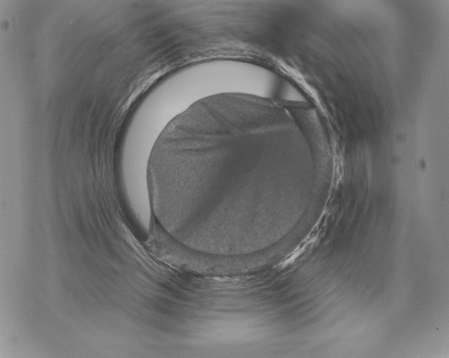 X0000070850154200607071841