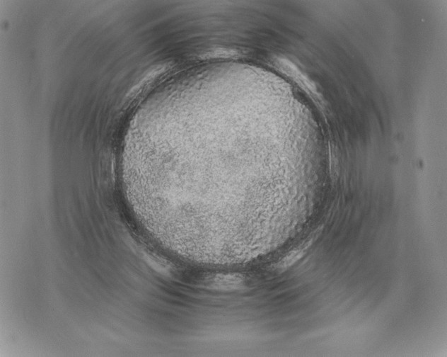 X0000070850157200607071841