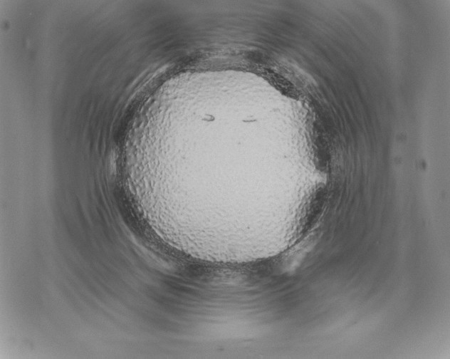 X0000070850166200607071841