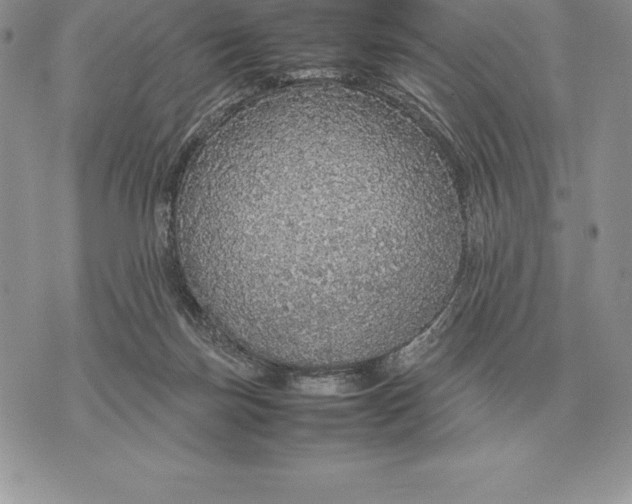 X0000070850171200607071841