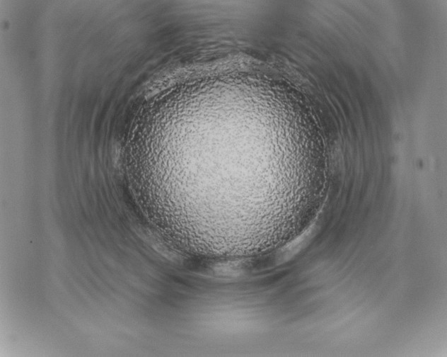 X0000070850178200607071841