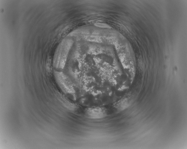 X0000070850181200607071841