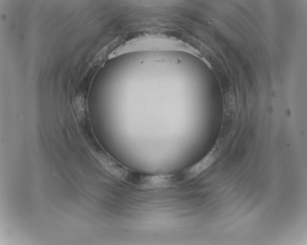 X0000070850184200607071841