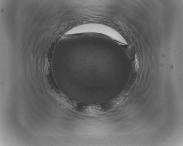 X0000070850223200607071840