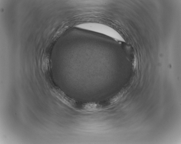 X0000070850227200607071840