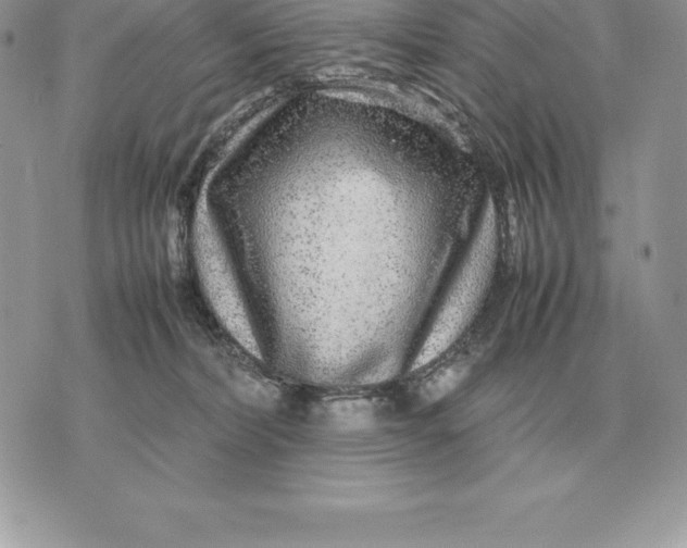 X0000070850228200607071840