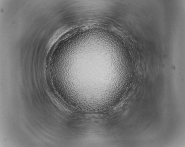 X0000070850242200607071839
