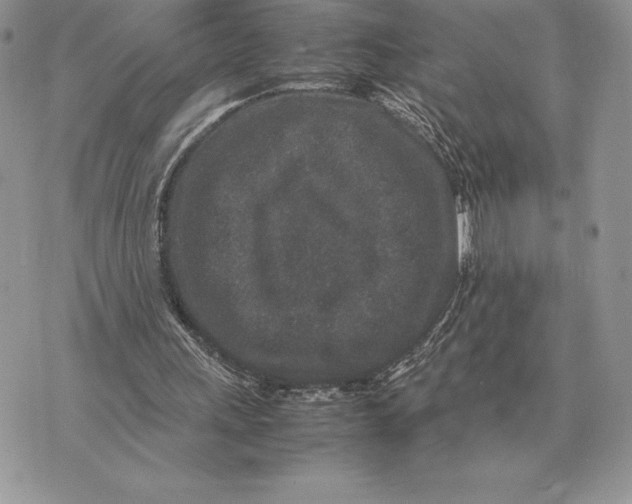 X0000070850243200607071839