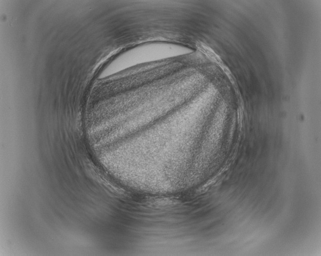 X0000070850249200607071839