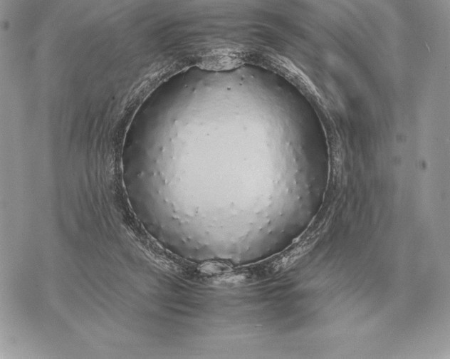 X0000070850257200607071839