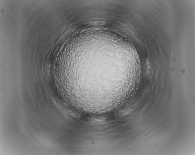 X0000070850263200607071839