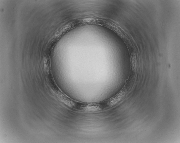 X0000070850270200607071839