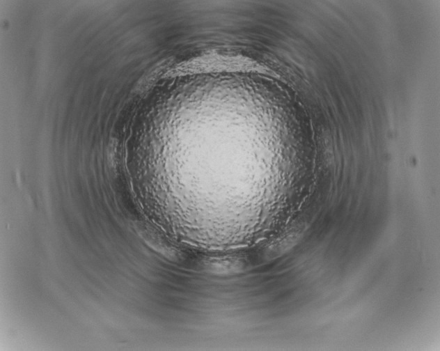 X0000070850275200607071839