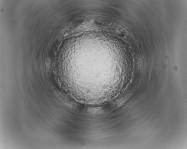 X0000070850283200607071840