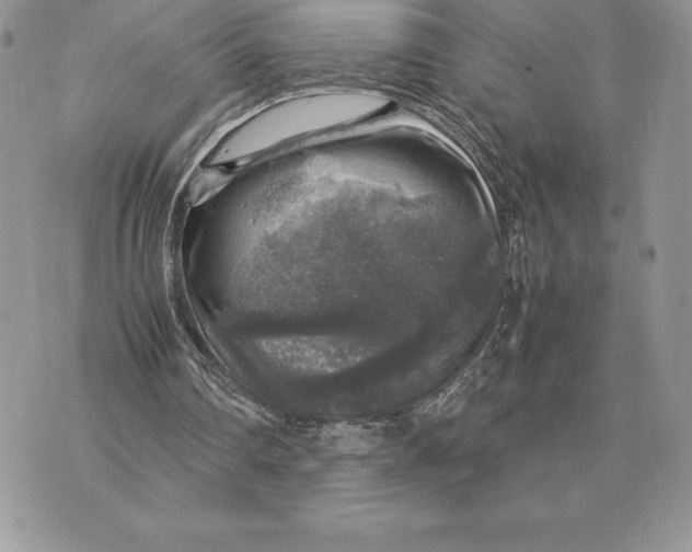 X0000070850290200607071839