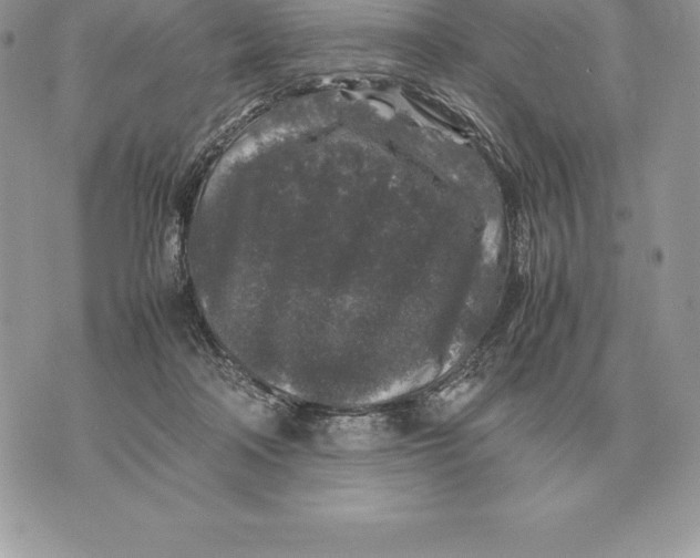 X0000070850314200607071838