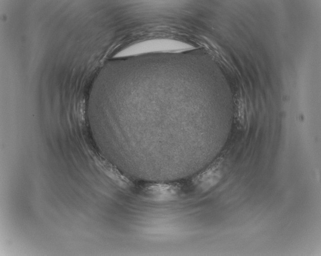 X0000070850326200607071838