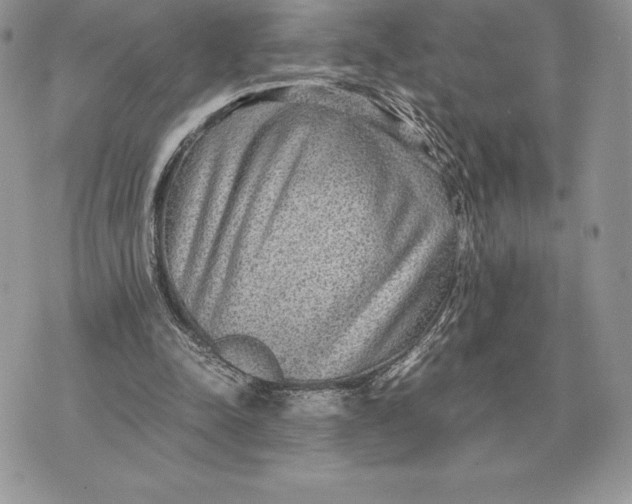 X0000070850342200607071837