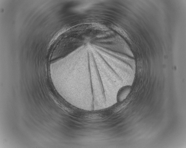 X0000070850349200607071838